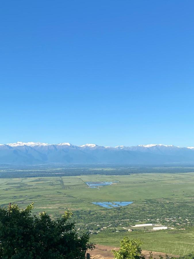 Panorama Otel Siğnaği Dış mekan fotoğraf