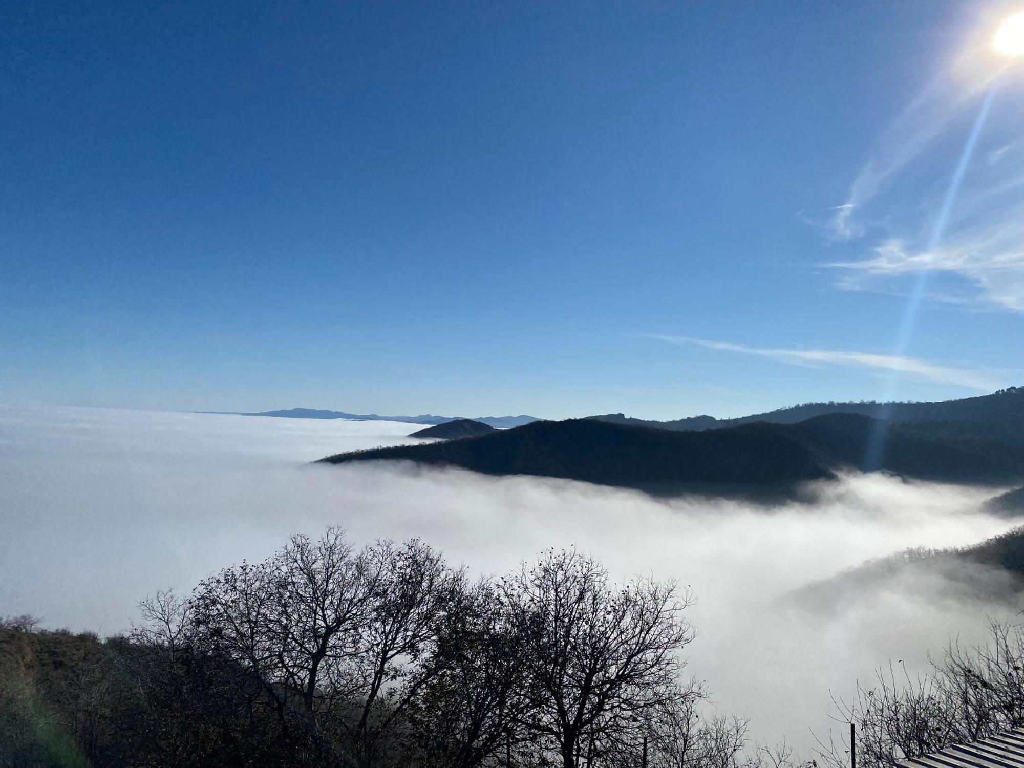Panorama Otel Siğnaği Dış mekan fotoğraf