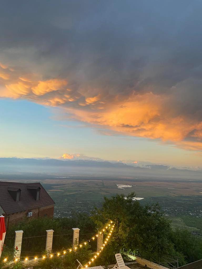Panorama Otel Siğnaği Dış mekan fotoğraf
